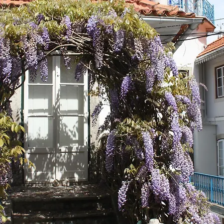 فندق مبيت وإفطار O Pescador