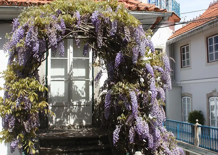 فندق مبيت وإفطار O Pescador