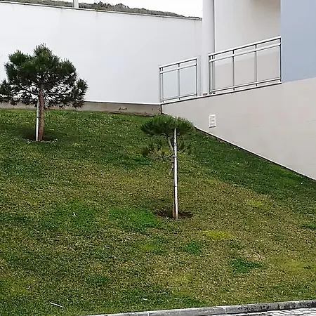 O Pescador * 나자레