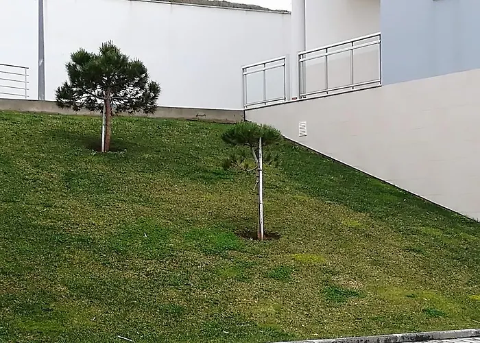 O Pescador * נאזרה