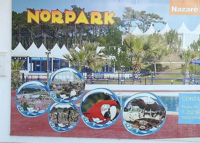 O Pescador לינה וארוחת בוקר *